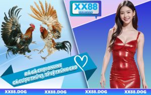 Đá Gà Chọi Online - Cá Cược Thú Vị, Tỷ Lệ Trúng Cao